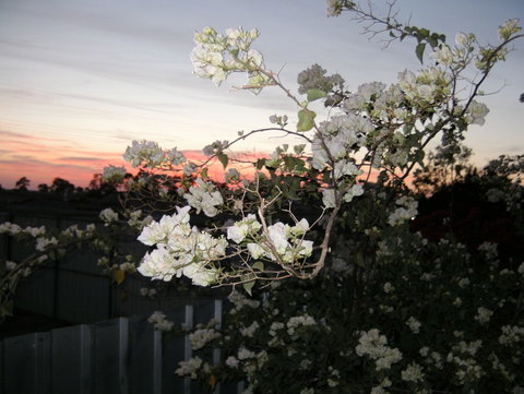 Sonjas Bed And Breakfast - Accommodation Australia 2