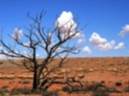 Theldarpa Stationstay - Accommodation Australia 1