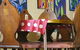 Cooma Bunkhouse Motel - thumb 3