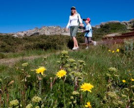 Horizons Apartment 407 - Local Tourism 0