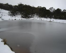 Old Minton Farmstay - Accommodation Australia 1