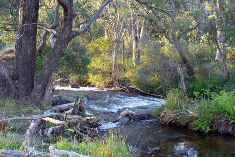 Paddys River Cottage - Local Tourism 2