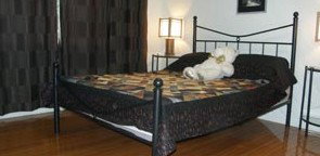 Artisans ...on The Hill Bed And Breakfast - Accommodation Australia 2