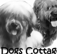 2 Dogs Cottages - Local Tourism