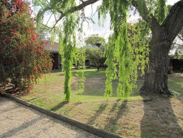 Murray Lodge Holiday Units - Local Tourism 4