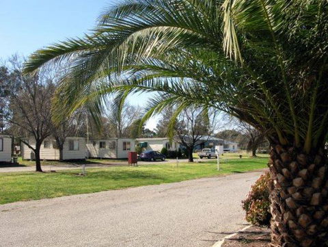 Leeton Caravan Park - Accommodation Australia 1
