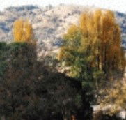 Birches Bed and Breakfast at Nundle - Local Tourism