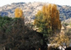 Birches Bed And Breakfast At Nundle - Accommodation Australia 0