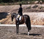 Laguna NSW Accommodation Australia