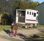 Apptrak Stud - Local Tourism 1