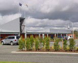 Adina Vineyard - Local Tourism 3