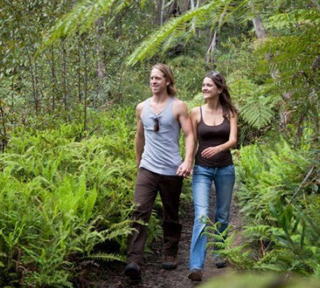 Blackheath Glen Tourist Park - Accommodation Australia 0