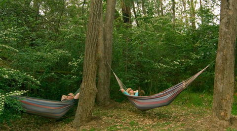 Bingle Tree Retreat - Accommodation Australia 1