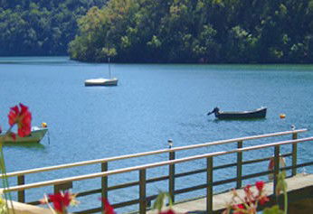 Amaroo On Berowra Waters - Local Tourism 0