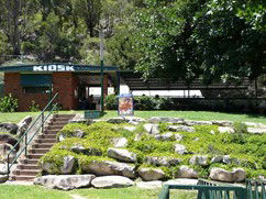Carinya Ski Ranch - Local Tourism 4