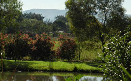 Amazing Country Escapes - Evanslea By The River - Accommodation Australia 4