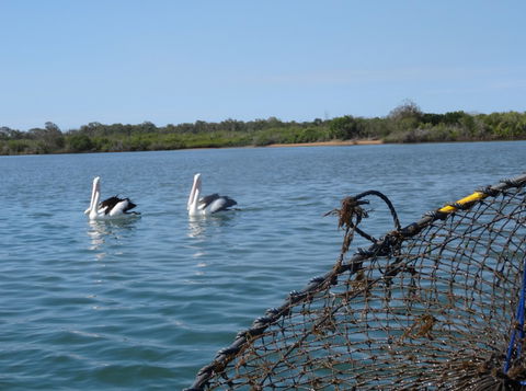 Baffle Retreat Bed And Breakfast - Accommodation Australia 5