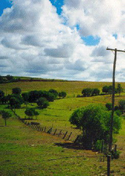 Mango Hill Cottages Bed And Breakfast - Australia Shopping 2