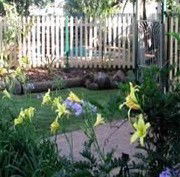 Flora Alba Cottage And Jacaranda On Pallas - Australia Shopping 2