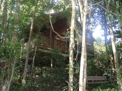 Adjinbilly Rainforest Retreat Cabins - Local Tourism 0
