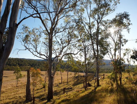 Spicers Canopy - Australia Shopping 4