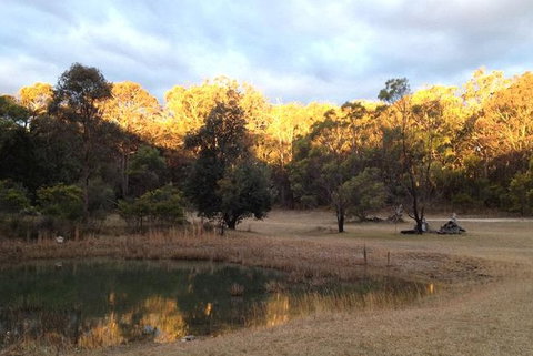 Possums Hollow And Hooters Hut - Accommodation Australia 1