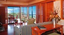 OReillys Rainforest Retreat - Local Tourism 0