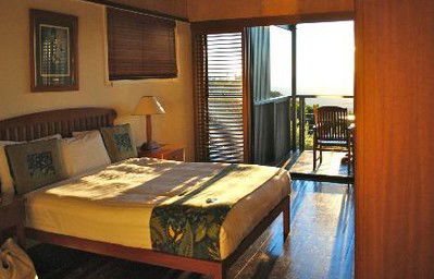 OReillys Rainforest Retreat - Local Tourism 2