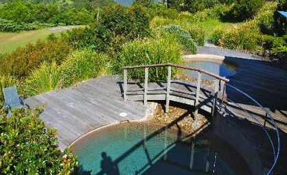 OReillys Rainforest Retreat - Local Tourism 4
