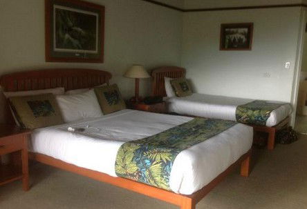 OReillys Rainforest Retreat - Local Tourism 5