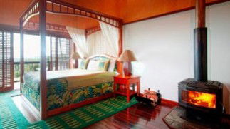 OReillys Rainforest Retreat - Local Tourism 6