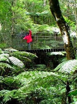 Katandra Mountain Farm House - Local Tourism 2
