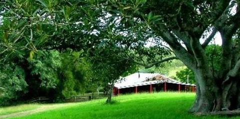 Katandra Mountain Farm House - Local Tourism 5