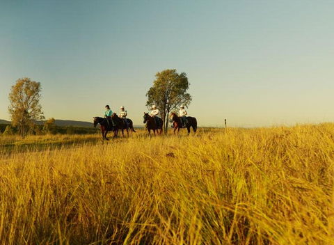 Spicers Hidden Vale - Accommodation Australia 1