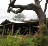 The Hollow Log Country Retreat - Local Tourism