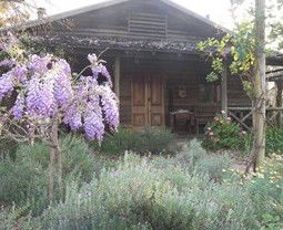 Barney Creek Vineyard Cottages - Accommodation Australia 3