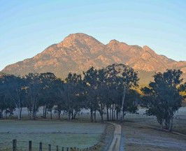 Barney Creek Vineyard Cottages - Accommodation Australia 5