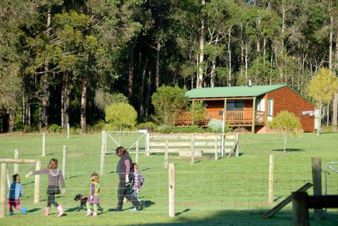 Diamond Forest Farm Stay - Local Tourism 0