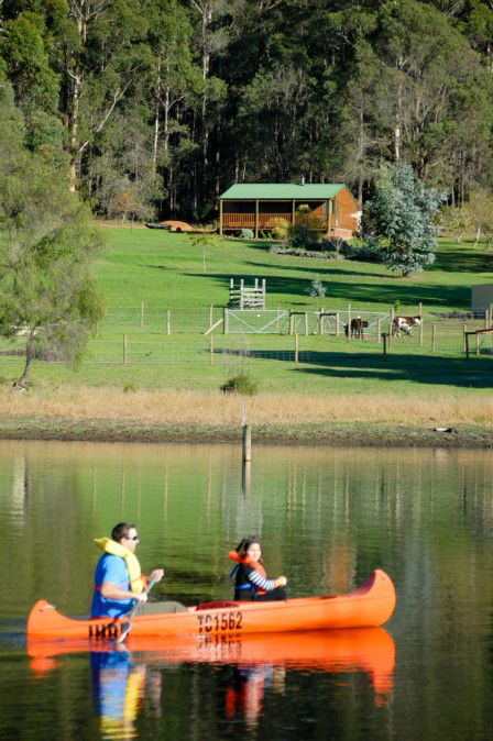 Diamond Forest Farm Stay - Local Tourism 2