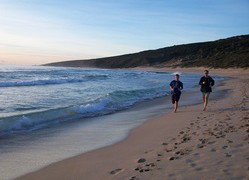 Karri Patch Cottage - Accommodation Australia 1