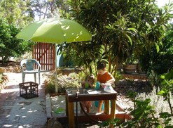 Karri Patch Cottage - Accommodation Australia 3