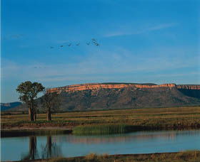 El Questro Homestead - Accommodation Australia 0