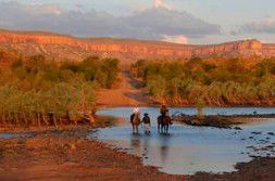 Home Valley Station - Accommodation Australia 2