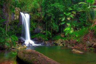 Amber Lodge Bed & Breakfast Tamborine Mountain - Local Tourism 2