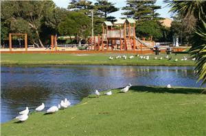 Fig Tree Holiday Village - Local Tourism 3