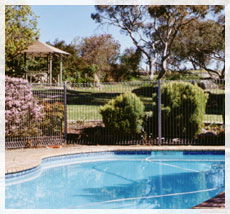 BEECHWORTH HEIGHTS - Accommodation Australia 0