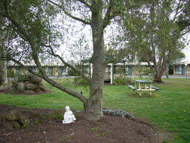 The Gold Sovereign Motor Inn - Accommodation Australia 0