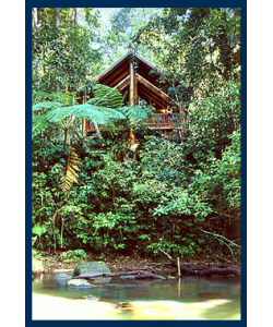 The Canopy Treehouses - Accommodation Australia 1