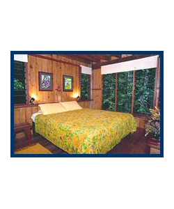 The Canopy Treehouses - Accommodation Australia 3