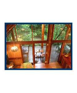 The Canopy Treehouses - Accommodation Australia 4